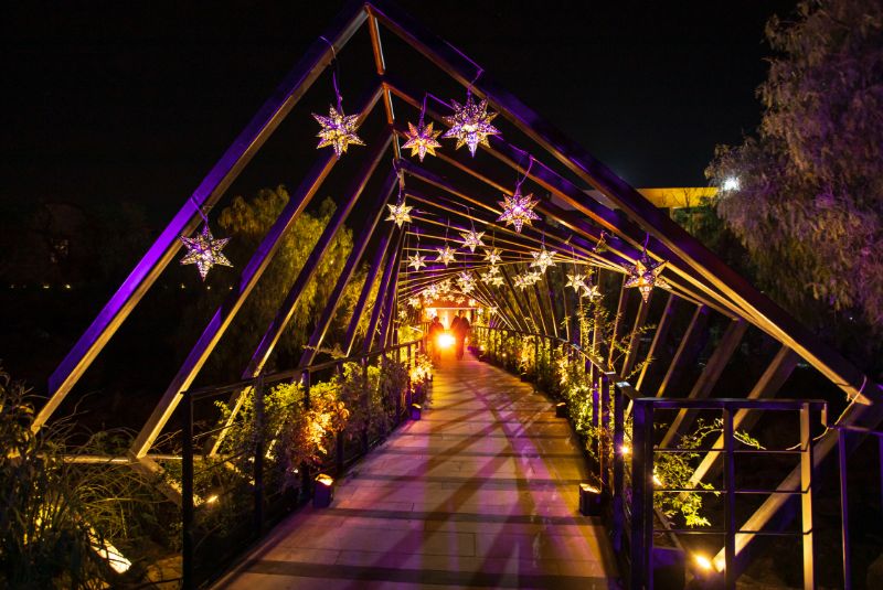 NA50BB23-highlights-incopy-feast