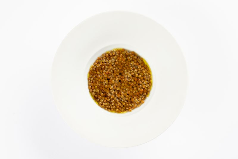 best-sommelier-lentils