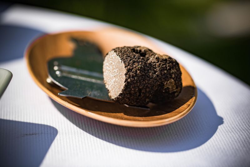 Croatia_Promotional_Features_white_Truffle