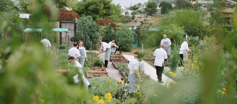 Soil-herb-garden